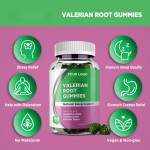 Sleep Gummies Manufacturer - OEM Private Label Valerian Organic
