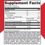 Vitamin B12 Gummies Manufacturer - OEM Custom Organic Apple Cider