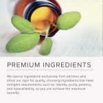 Slim Plus Capsules Manufacturer - High Quality Non GMO Healthcare