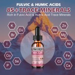 Shilajit Liquid Drops Manufacturer - Himalayan 6 in 1 Herbal