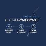 L Carnitine Gummy Manufacturer - Customized Faster Recovery Focus