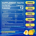 Joint Support Gummies Manufacturer - Sugar Free Glucosamine Chondroitin
