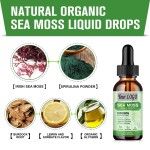 Sea Moss Liquid Drops Manufacturer - OEM Detox Cleanse 60ml