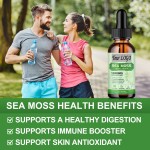 Sea Moss Liquid Drops Manufacturer - OEM Detox Cleanse 60ml