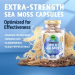 Shilajit Capsules Manufacturer - HOT Sale Sea Moss Immune Supports