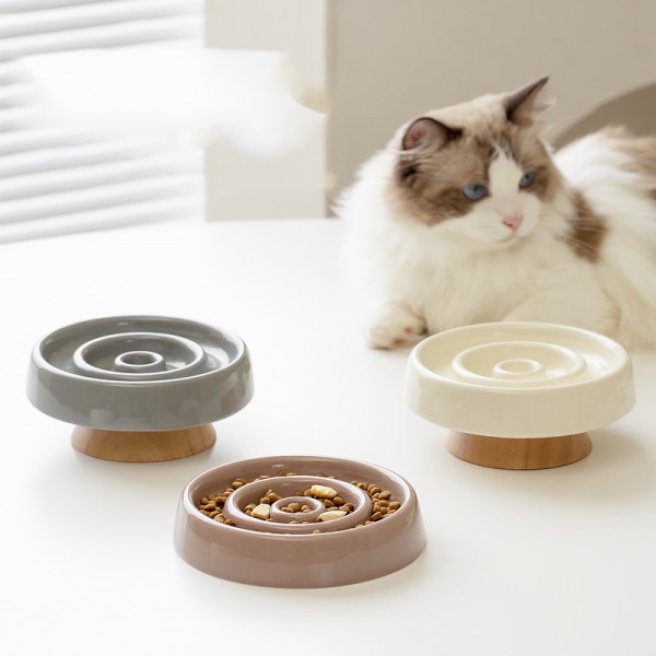 Slow Food Dog Bowl Manufacturer - New Arrived Ceramic Microwave