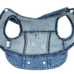 泰迪狗服装工厂-四季穿着牛仔背心