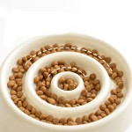 Slow Food Dog Bowl Manufacturer - New Arrived Ceramic Microwave