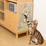 Cat Scratch Mat Factory - Sisal Design Print OEM Pattern
