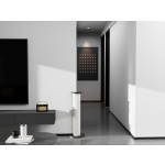 角落猫抓板厂家-高品质真实实木