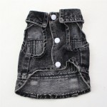 宠物夹克工厂-柔软破洞黑色牛仔时尚