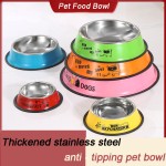Pet Food Bowls Supplier - Wholesale Stainless Steel Painted