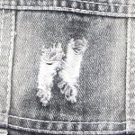 宠物夹克工厂-柔软破洞黑色牛仔时尚