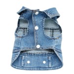 泰迪狗服装工厂-四季穿着牛仔背心