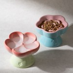 Ceramic Pet Bowl Manufacturer - High Footed Slanted Mouth Nutrition
