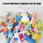 Dog Chew Toys Manufacturer - Durable Chew Resistant Teething