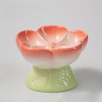 Ceramic Pet Bowl Manufacturer - High Footed Slanted Mouth Nutrition