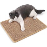Natural Sisal Mat Supplier - Customizable Welcome Mats Protection