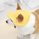 宠物帽子厂家-舒适灯芯绒夏季假日