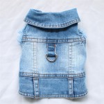 狗牛仔夹克供应商-亮蓝色跑步舒适