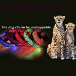 宠物项圈工厂-快脱LED豹纹夜间