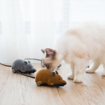 USB Cat Teaser Supplier - Wholesale Rechargeable Red Dot Light Training