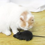 Interactive Cat Toy Factory - High Quality Motorised Mouse Simulation Toys