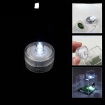 Reptile Glass Tank Manufacturer - Ecological Landscape Horned Frog Spider Guarding