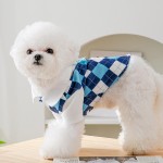 Pet Skirt Manufacturer - Wholesale Korean Style Cowboy Jean Gauze Dress
