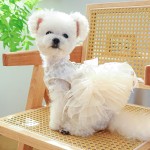 Pet Tutu Dress Manufacturer - Elegant Lace Party Shinny Starlight Wedding