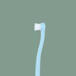 Pet Hair Brush Factory - New Arrival Plastic Handle Stainless Steel Brushes