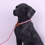 No Pull Dog Leash Manufacturer - Long Lead Training Tracking Braided Leather