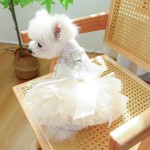 Pet Tutu Dress Manufacturer - Elegant Lace Party Shinny Starlight Wedding