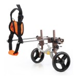 Pet Wheelchair Supplier - Paralysis Assistance Wheelchair for Dogs Pets