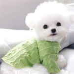 Pet Hoodie Supplier - Sporty Style Jumper Onesie with Hats Pockets