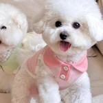 Dog Training Pads Manufacturer - Wholesale Reusable Diapers Technology