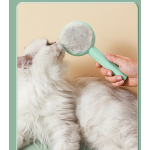 Pet Grooming Comb Supplier - 2025 New Fashion Design Cat Needle Dog Brush