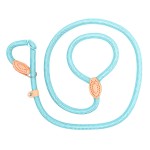 Slip Dog Leash Factory - Hot Selling Nylon Snap Hook Rope for Training