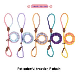 Adjustable Dog Leash Supplier - Colorful Comfortable P Chain Rope Durable