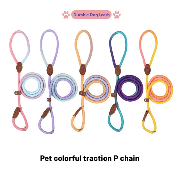 Adjustable Dog Leash Supplier - Colorful Comfortable P Chain Rope Durable