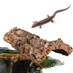 Reptile Enclosure Factory - Breathable Transparent Acrylic Insect Terrarium