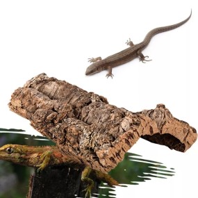 Reptile Enclosure Factory - Breathable Transparent Acrylic Insect Terrarium