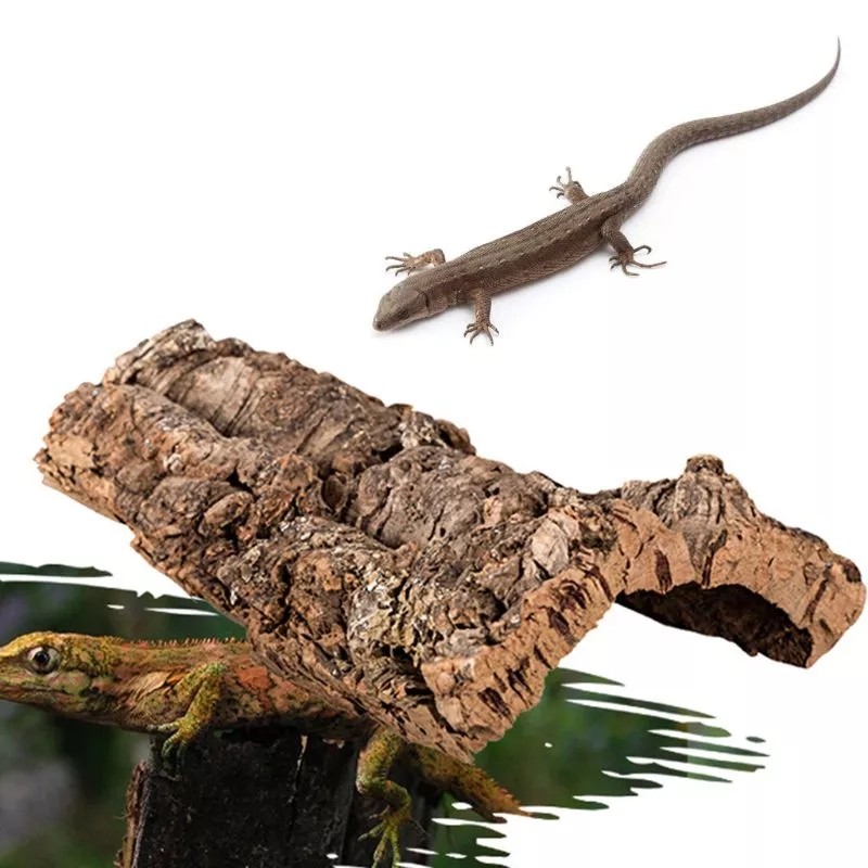 Reptile Enclosure Factory - Breathable Transparent Acrylic Insect Terrarium