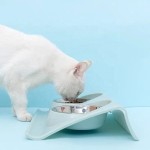 Tilted Pet Feeder Supplier - New Arrivals Portable Leak Proof BPA Free