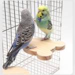 Parrot Toys Set Supplier - High Quality Colorful Decoration Cage Accessories