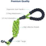 Reflective Dog Leash Supplier - 5 FT Strong Padded Handle Highly Reflective