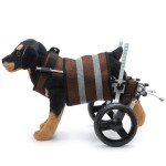 Pet Wheelchair Supplier - Paralysis Assistance Wheelchair for Dogs Pets