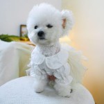 Pet Wedding Dress Factory - Manufacturer Custom Blue Bowknot Autumn Winter