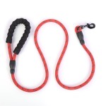 Dog Training Leash Factory - Comfortable Padded Handle Highly Reflective
