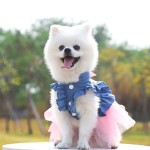 Pet Jumper Factory - Hot Selling Colorful Winter Dresses Warm Pullover